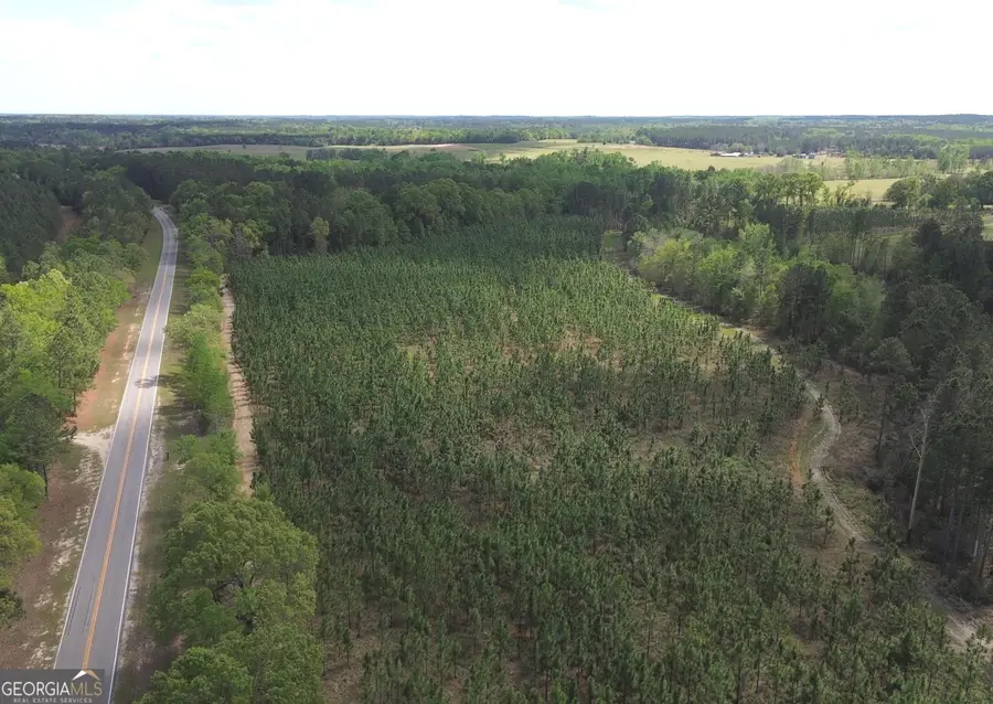 002 Old Poor Robin Tract 2, Sylvania, GA 30467 - #2