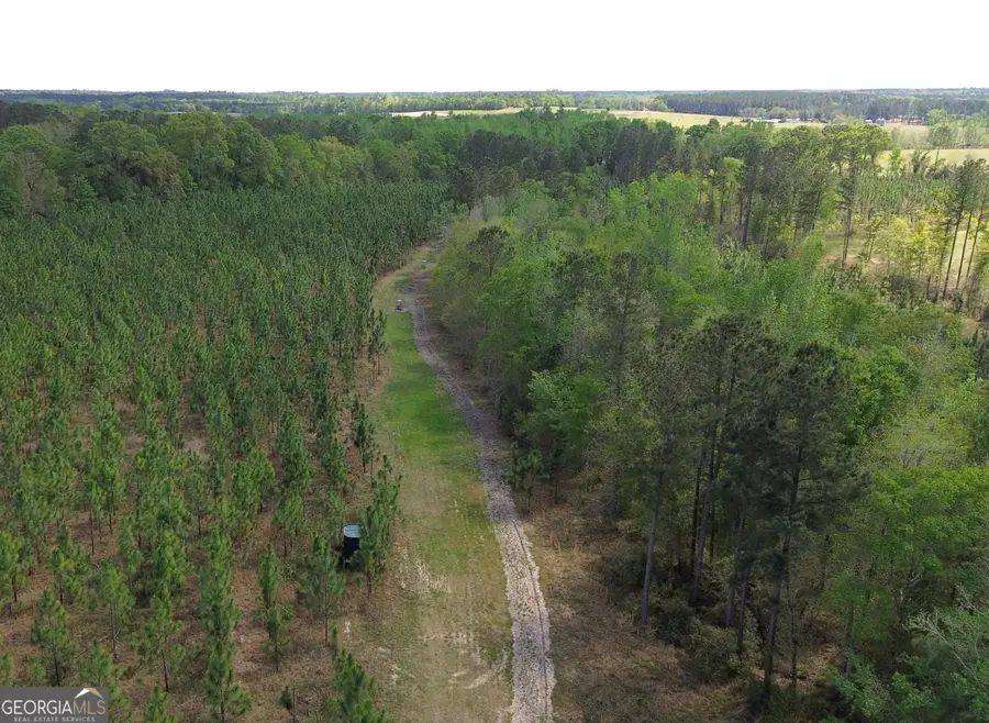 002 Old Poor Robin Tract 2, Sylvania, GA 30467 - #3