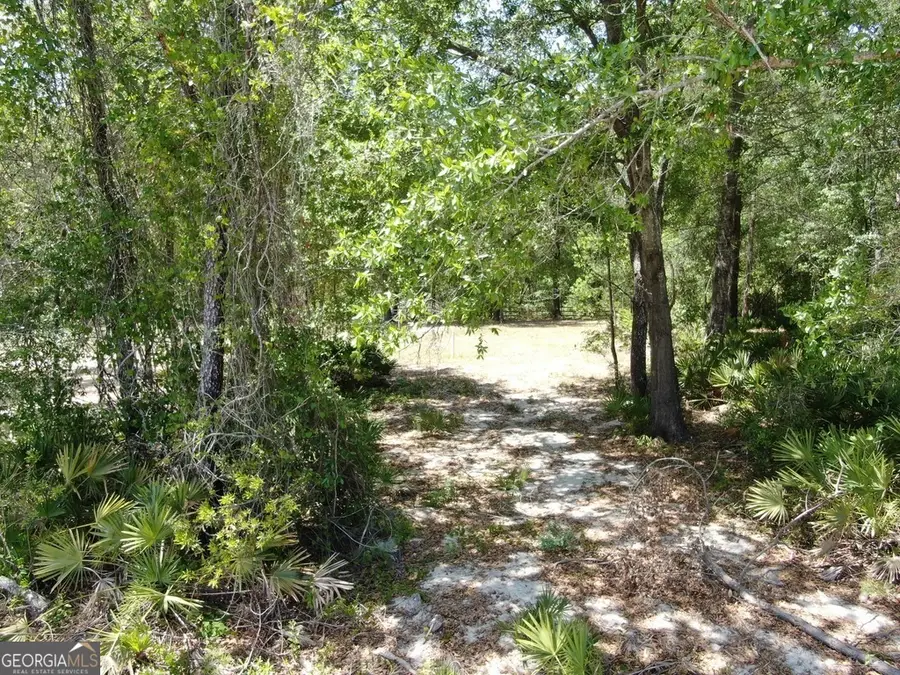 51 Coweta Road, Hoboken, GA 31542 - #2