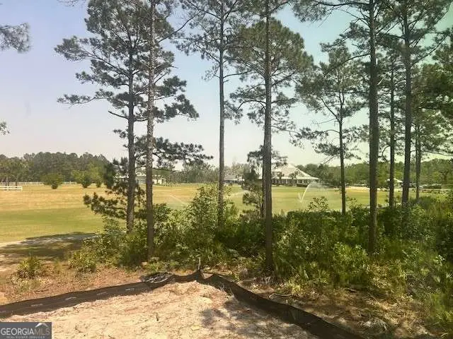 105 Lone Pine Court, Waverly, GA 31565 - #3