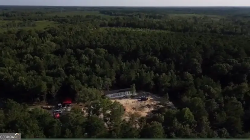 1667 Richard Moore Road, Dublin, GA 31021 - #2