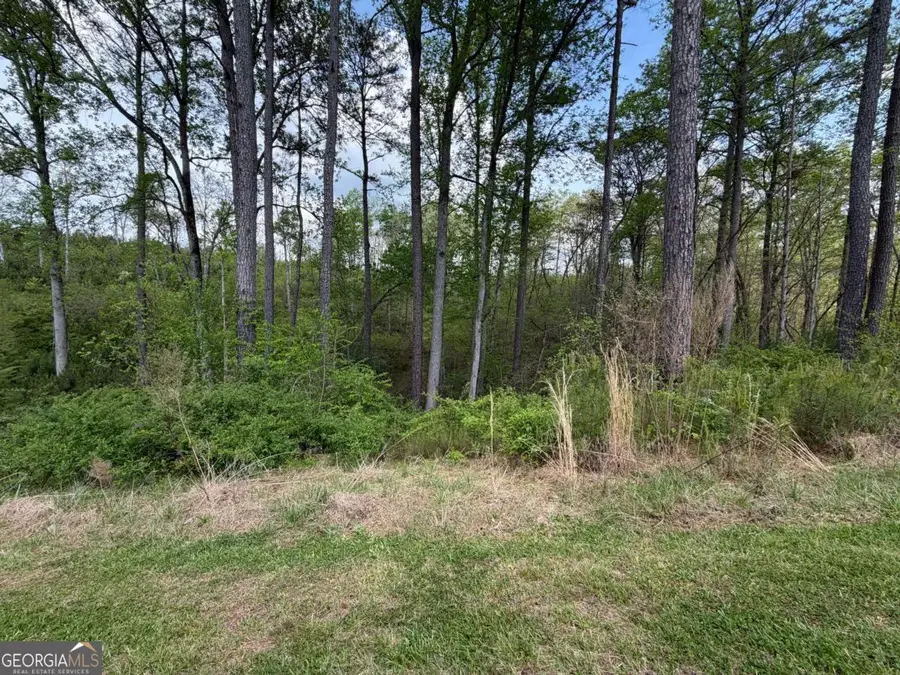 238 Lecroy Drive, Ellijay, GA 30540 - #3