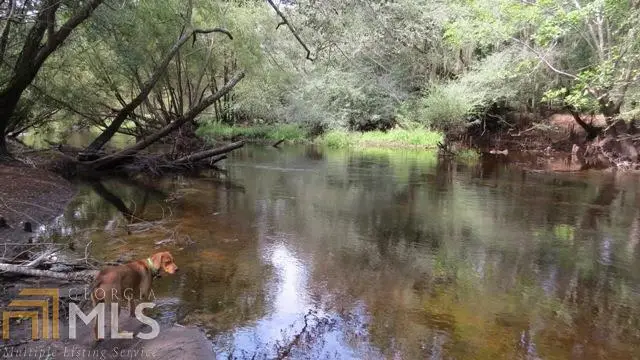 0 Area Line Road, Claxton, GA 30417 - #1