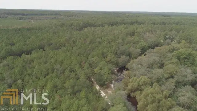 0 Area Line Road, Claxton, GA 30417 - #2