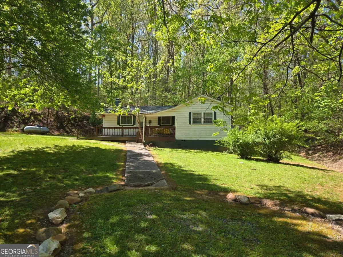 4320 Mineral Bluff Highway, Mineral Bluff, GA 30559 - #1