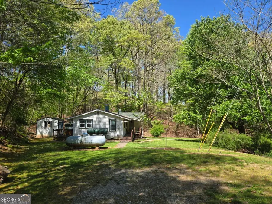 4320 Mineral Bluff Highway, Mineral Bluff, GA 30559 - #3