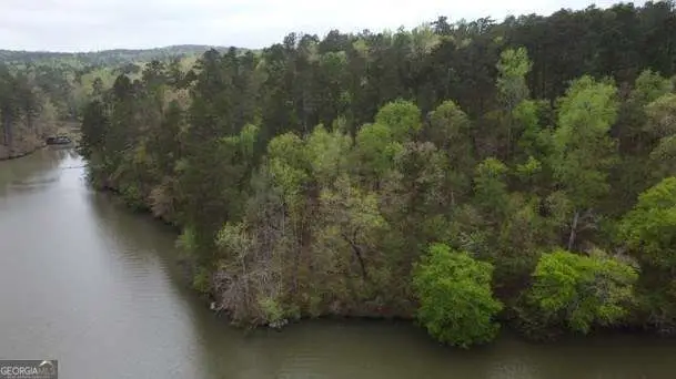 LOT #2 Frontier Shores Road, Sparta, GA 31087 - #2