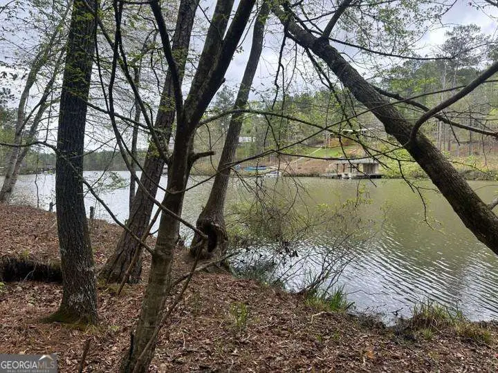 LOT #4 Frontier Shores Road, Sparta, GA 31087 - #3