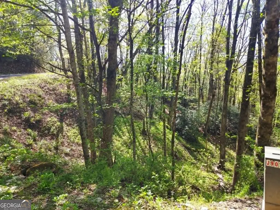 0 LOT 40 Pipetrack Gap Road, Scaly Mountain, NC 28775 - #3