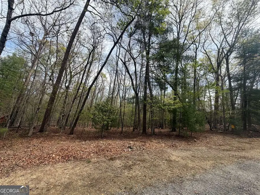 # 2 Amber Way, Morganton, GA 30560 - #2