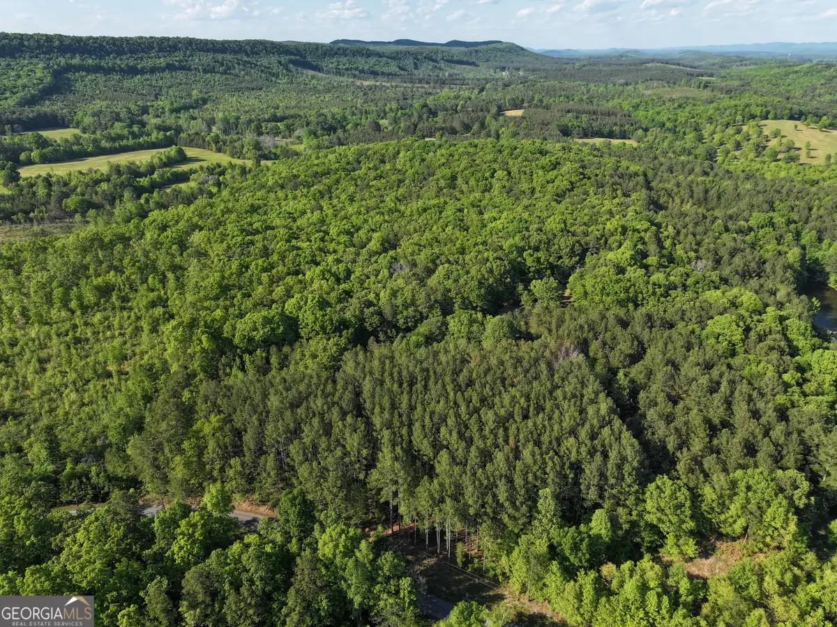 1218 Johnson Cemetery Road (29 +/-acres), Lyerly, GA 30730 - #1