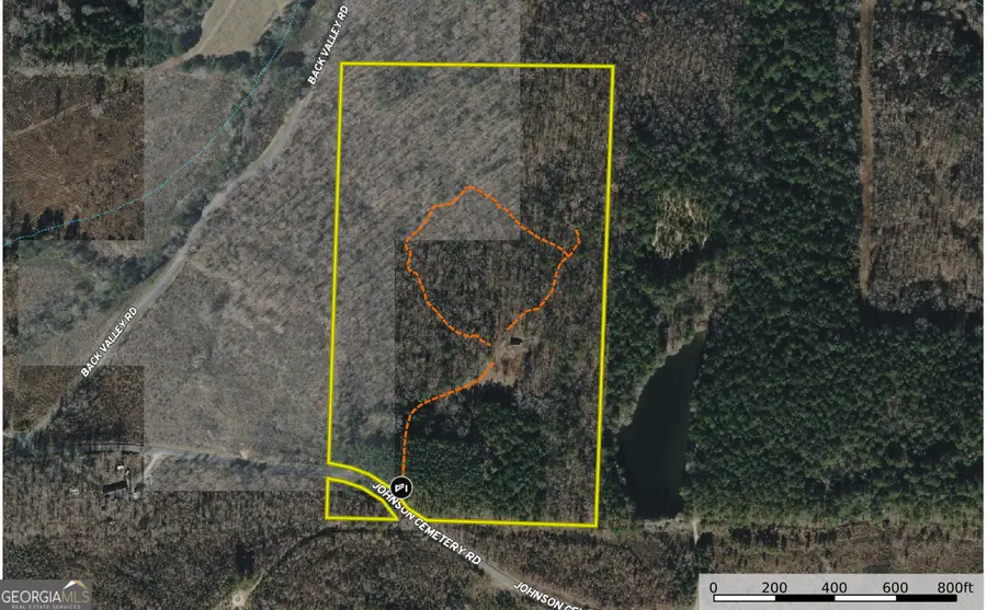 1218 Johnson Cemetery Road (29 +/-acres), Lyerly, GA 30730 - #2