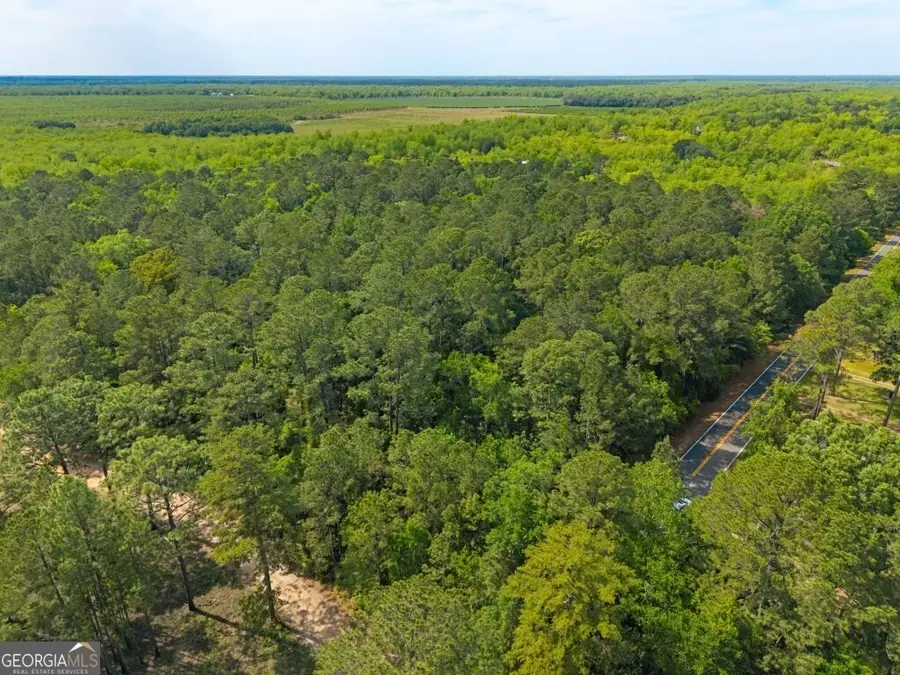 0 Coakley And Slade Avenue, Albany, GA 31721 - #2