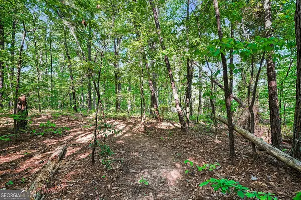 00 Ham Road, Jackson, GA 30233