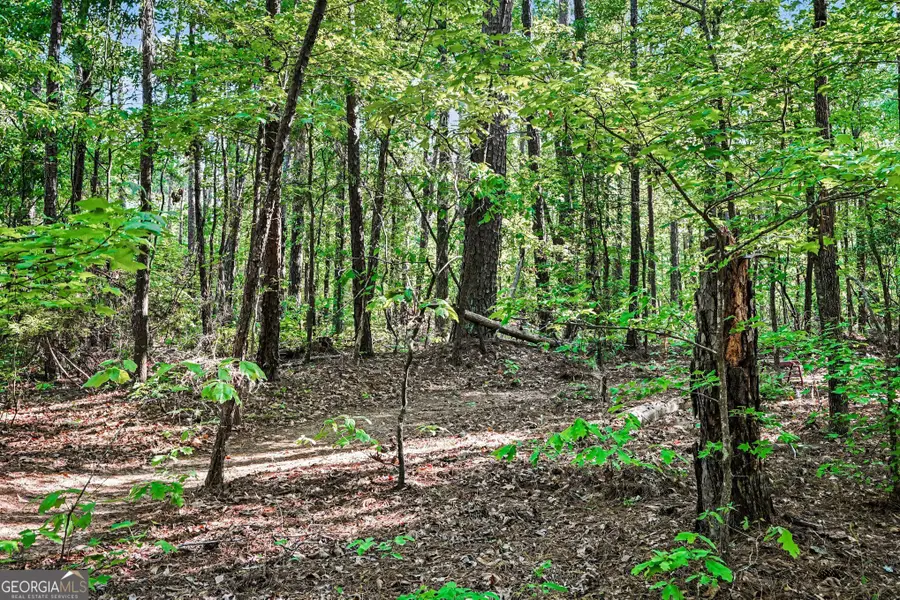 00 Ham Road, Jackson, GA 30233 - #2