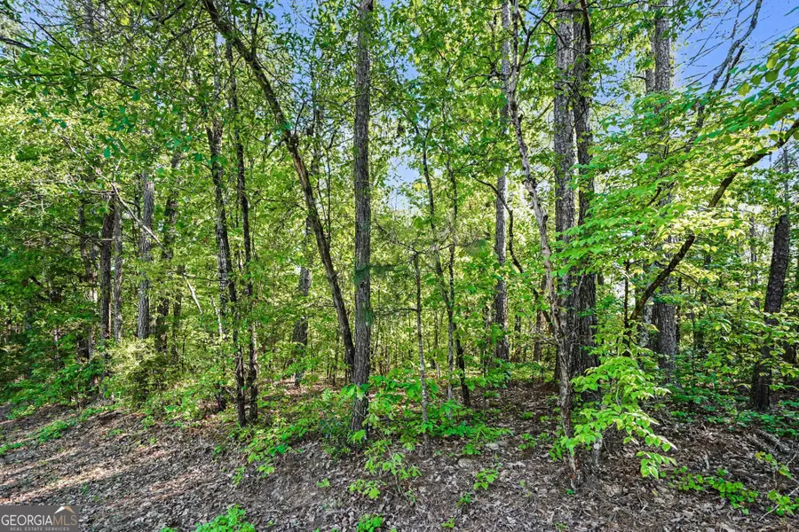 00 Ham Road, Jackson, GA 30233 - #3