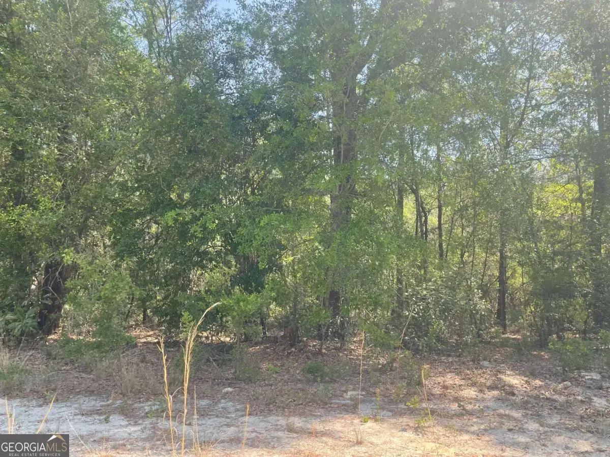 LOT 7 Riverbank Road, Reidsville, GA 30453 - #1