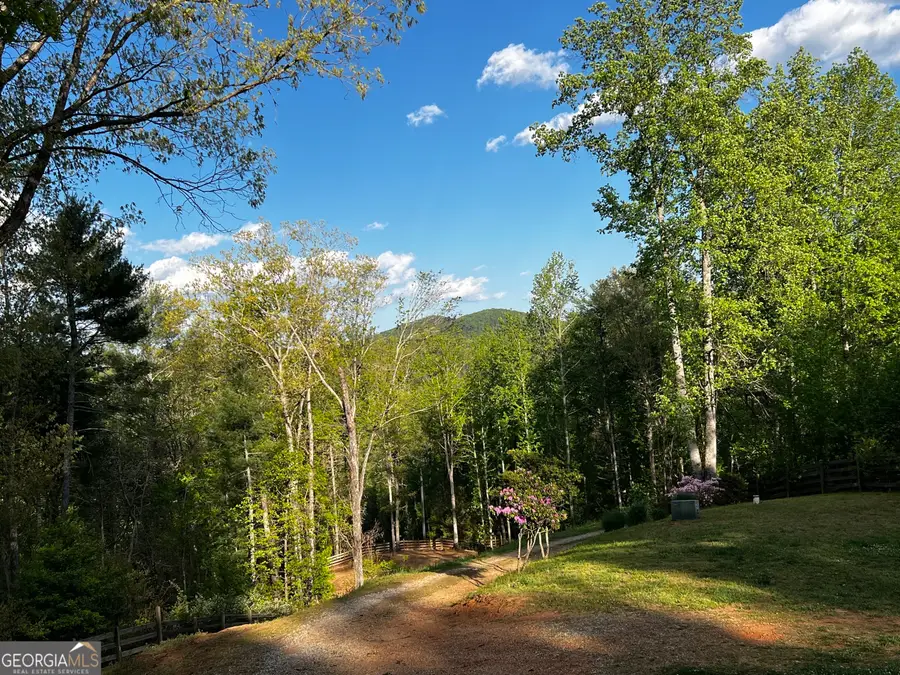 221 Muscadine Road, Dahlonega, GA 30533 - #2