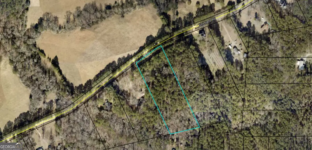 0 Strickland Road, Concord, GA 30206 - #1