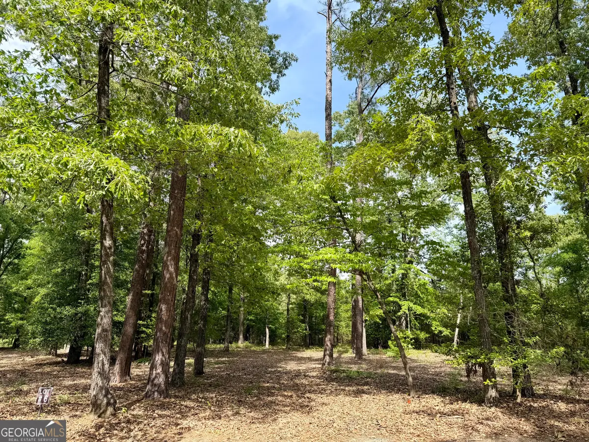 0 Deer Creek Trail #LOT 6, Dublin, GA 31021 - #1