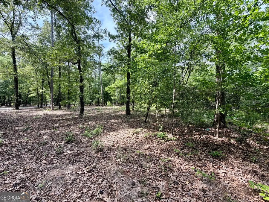 0 Deer Creek Trail #LOT 6, Dublin, GA 31021 - #3