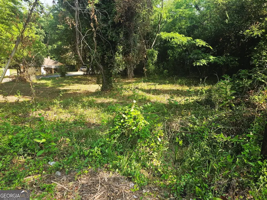 373 Gaillard Street, Macon, GA 31204 - #2