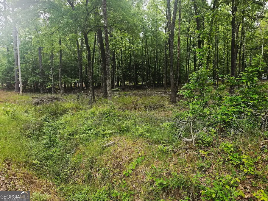 0 Island Creek, Sparta, GA 31087 - #3