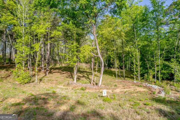 126 Falls Lane, Milledgeville, GA 31061