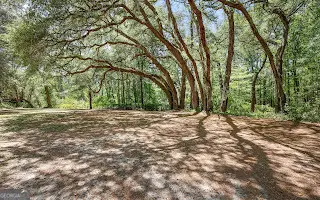 321 Anderson Road, Statesboro, GA 30458 - #2