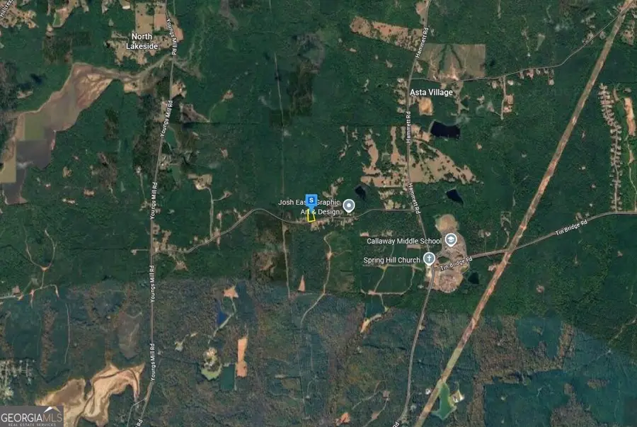 581 Leonard Road, Lagrange, GA 30241 - #3