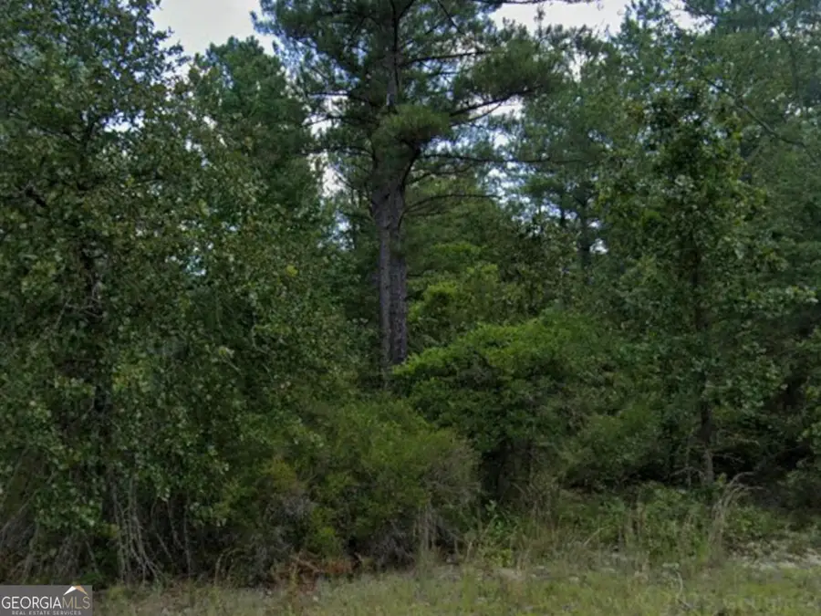 0 Addie Trail, Dublin, GA 31021 - #2