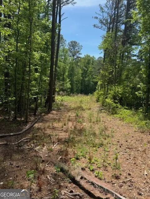 580 Dutchman Road, Griffin, GA 30223 - #2