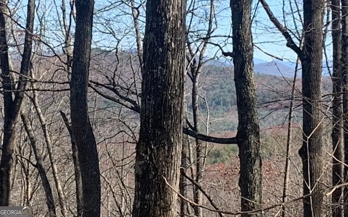 102 Badger Road, Blairsville, GA 30512 - #1