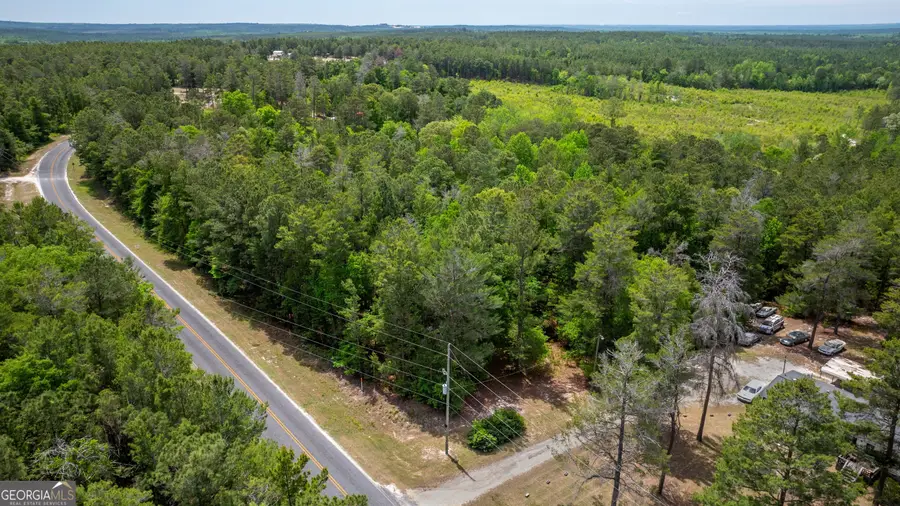 99 Hortman Mill Road, Roberta, GA 31078 - #2