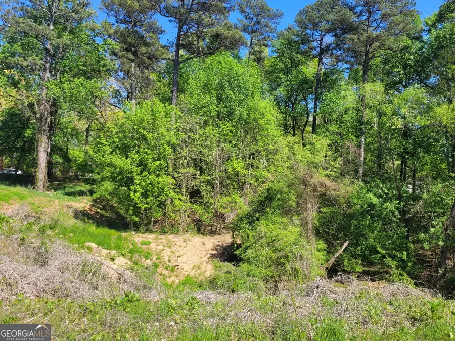 3114 Lovell Drive, Atlanta, GA 30311 - #2