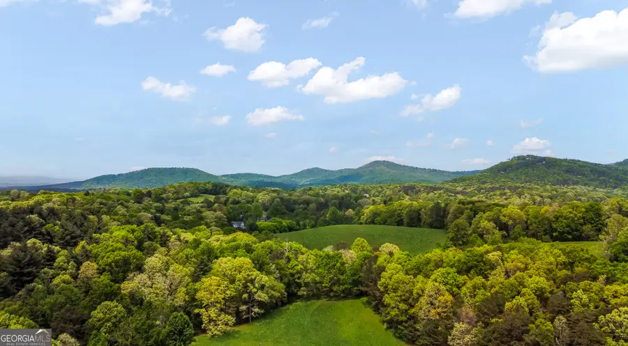 233 Ivy Ridge, Ellijay, GA 30536 - #2