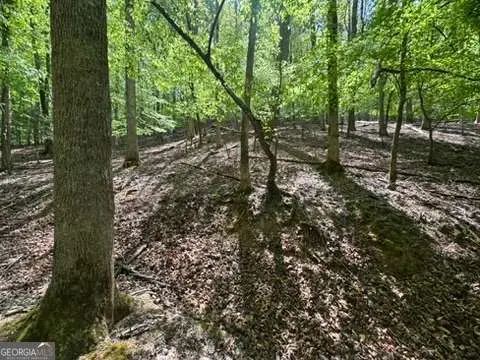 LOT 1972 Nancy Court, Ellijay, GA 30540 - #3