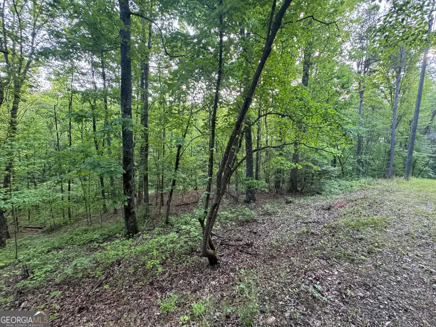 1 Holley Heights, Jasper, GA 30143 - #2