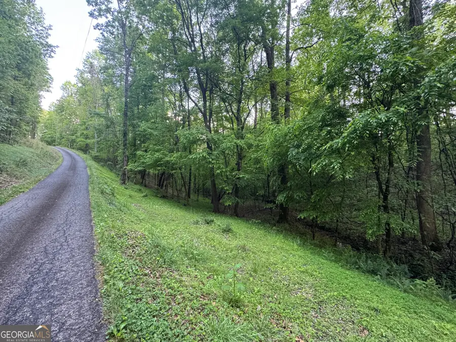 1 Holley Heights, Jasper, GA 30143 - #3