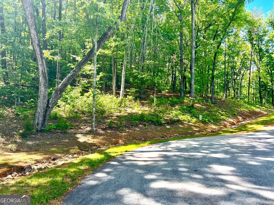 LOT 60 Waterfall Lane, Sautee Nacoochee, GA 30571 - #3