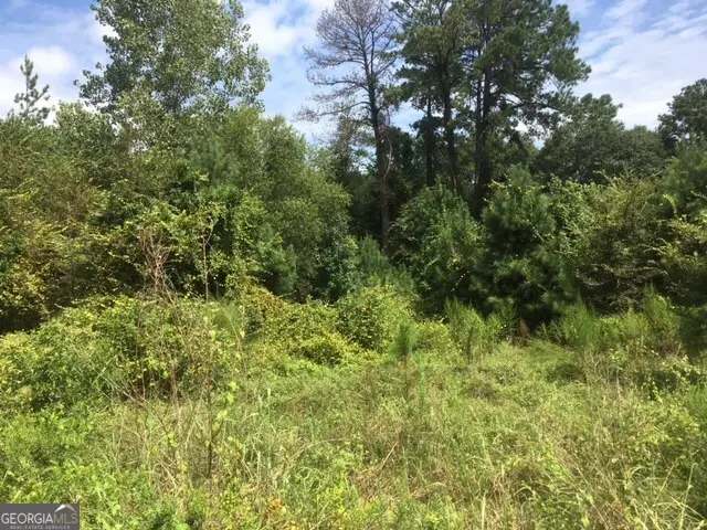 3204 Masseyville Road, Macon, GA 31217 - #3