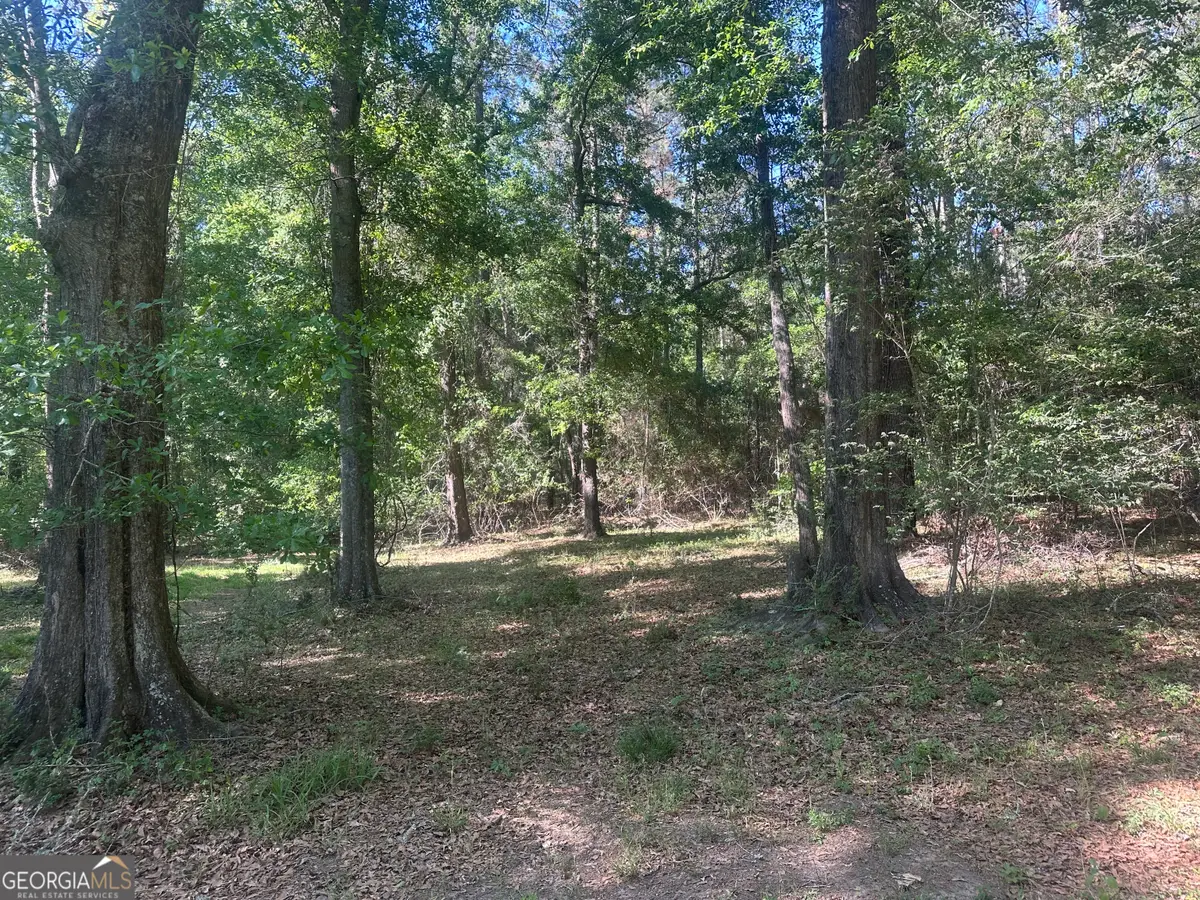 300 Country Club Road Lot 5 Highway #LOT 5, Sylvania, GA 30467 - #1