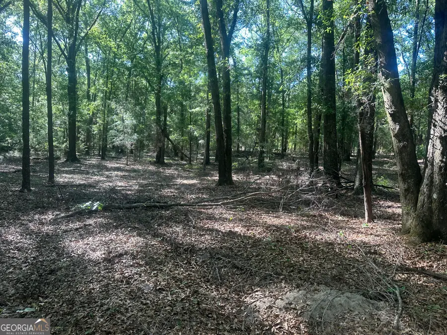300 Country Club Road Lot 5 Highway #LOT 5, Sylvania, GA 30467 - #2