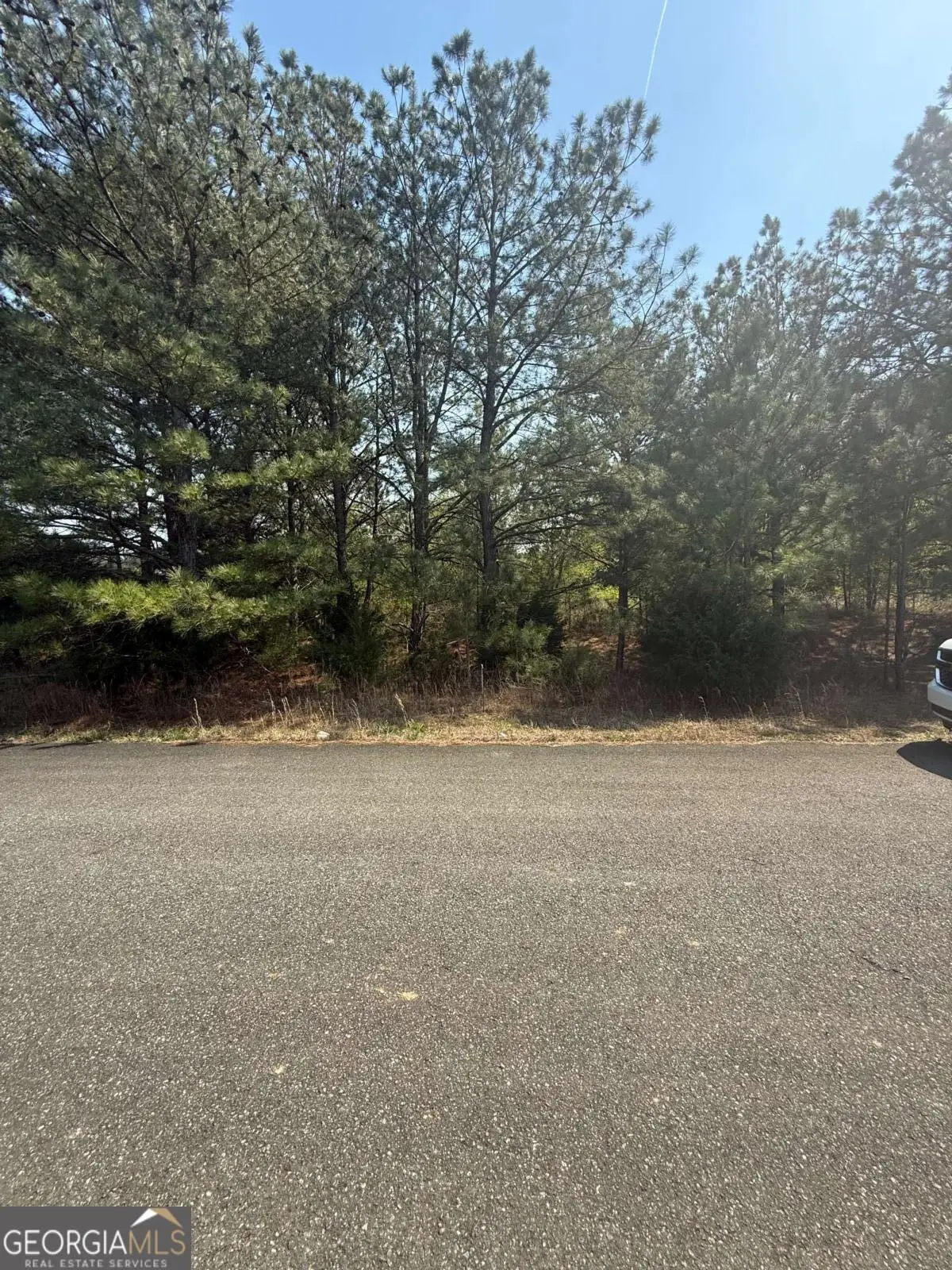 14 Russler Way, Rydal, GA 30171 - #1