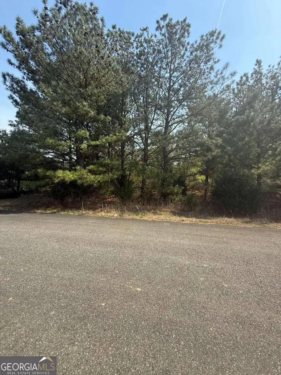 14 Russler Way, Rydal, GA 30171 - #2