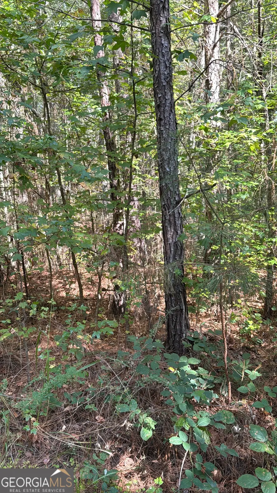 230 Dodgen Road, Hampton, GA 30228 - #2