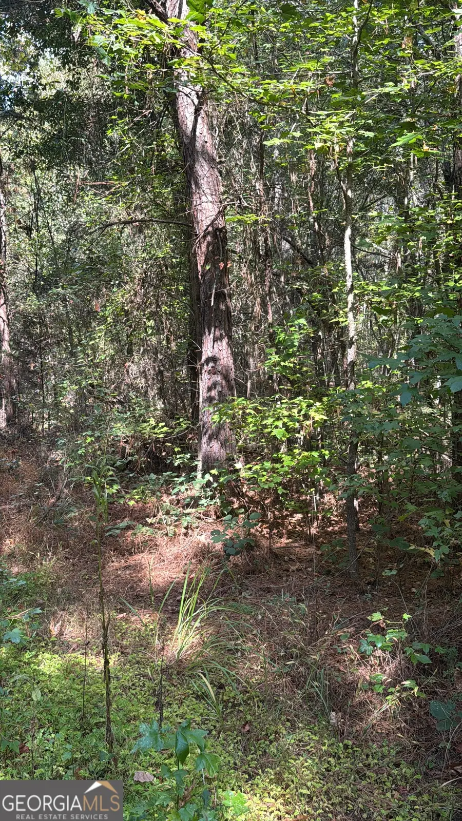 230 Dodgen Road, Hampton, GA 30228 - #3