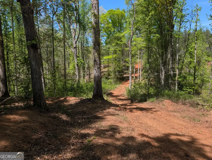 34 Magnum Lane, Pendergrass, GA 30567 - #2