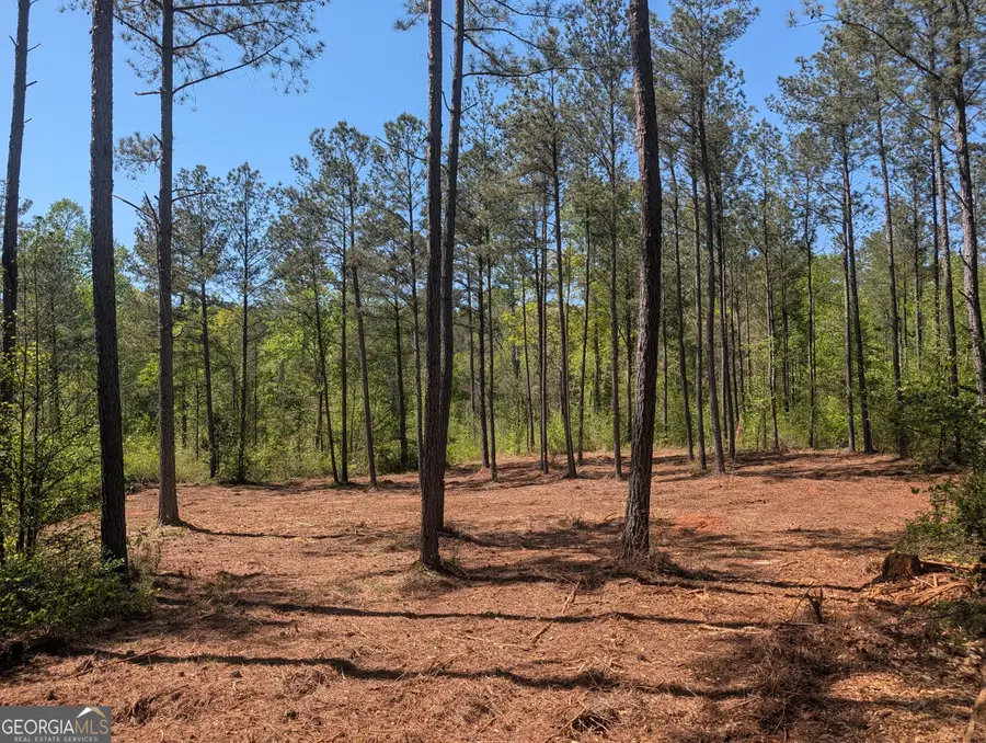 6 Mangum Lane, Pendergrass, GA 30567 - #3