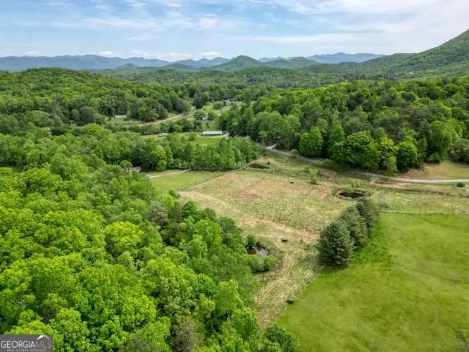 10 AC Pleasant Valley Lane, Blairsville, GA 30512 - #1